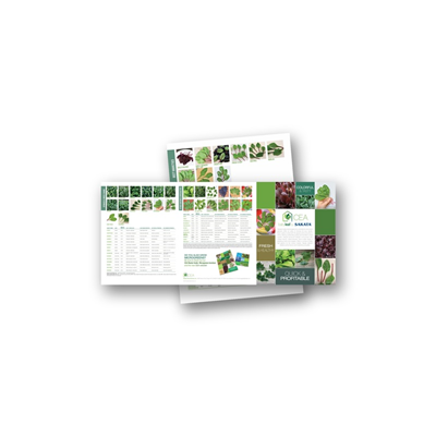 Babyleaf Brochure