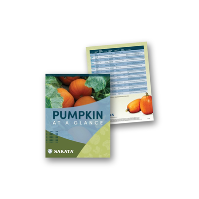 Pumpkin Chart