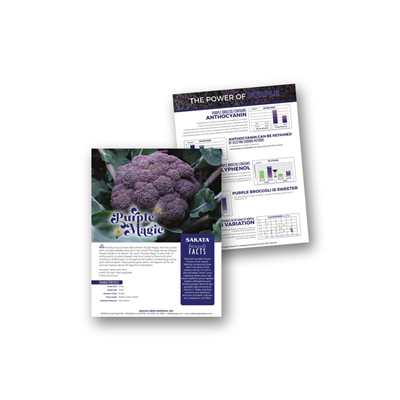 Purple Magic Broccoli Flyer