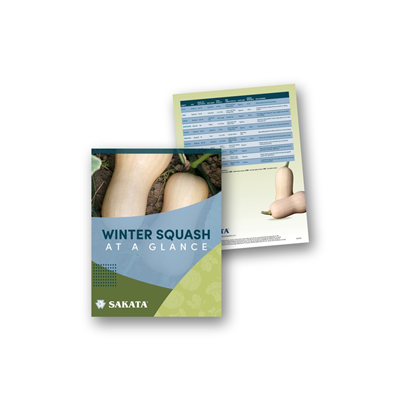 Winter Squash Chart