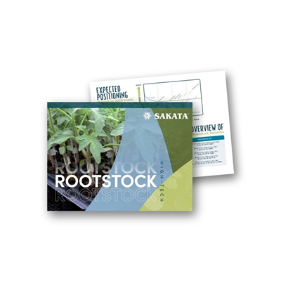 Tomato Rootstock Brochure