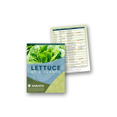 Lettuce Chart