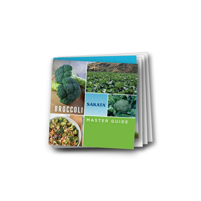 Broccoli Master Guide