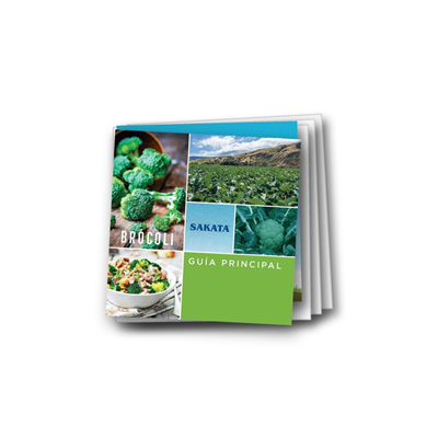 Broccoli Master Guide Espanol